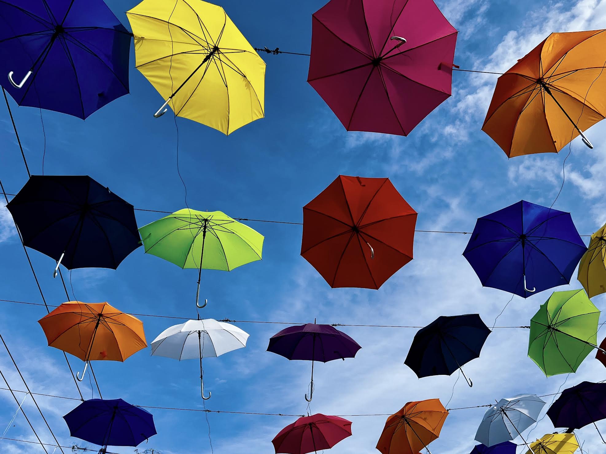 Umbrella Sky