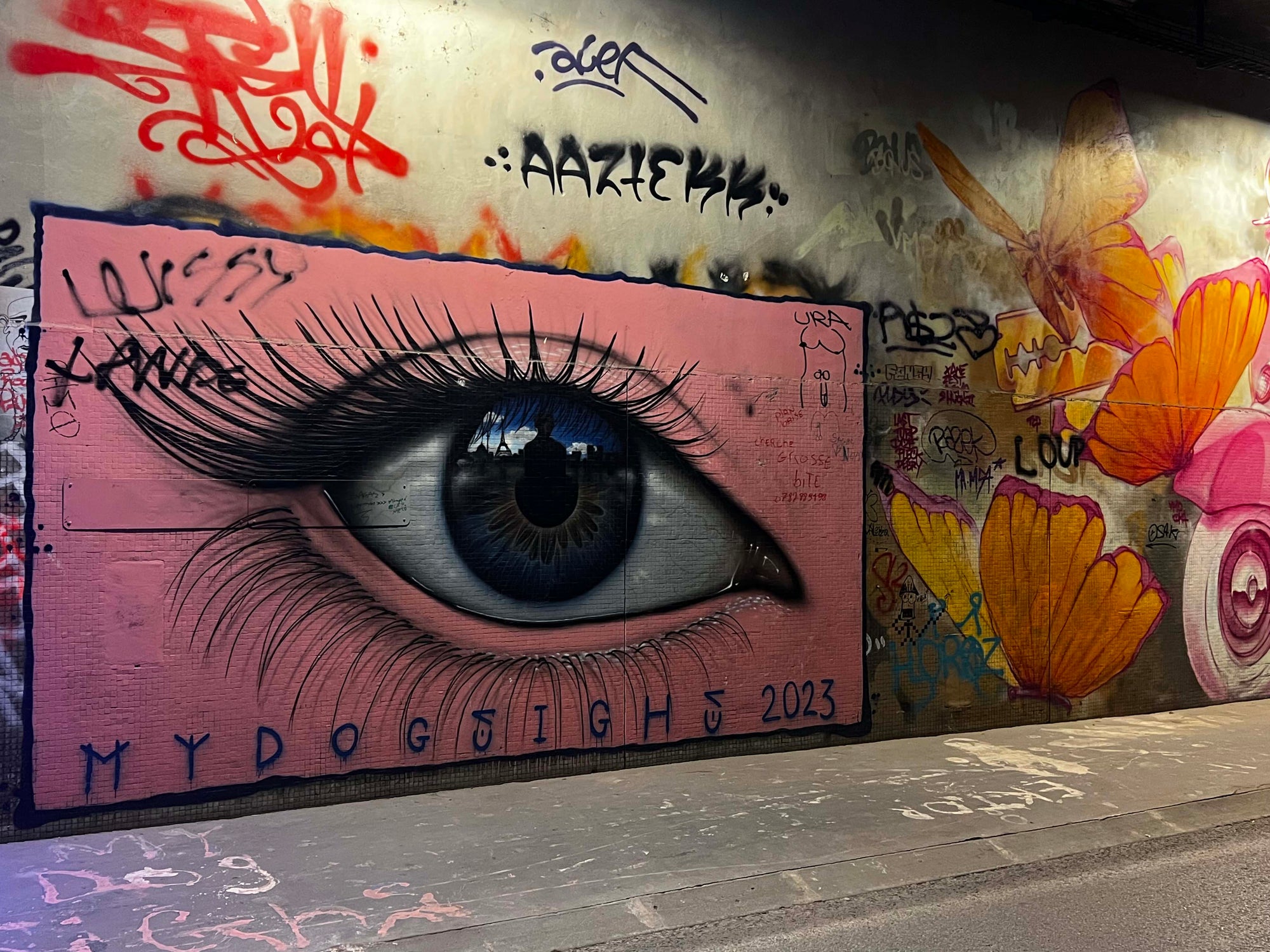 MYDOGSIGHS