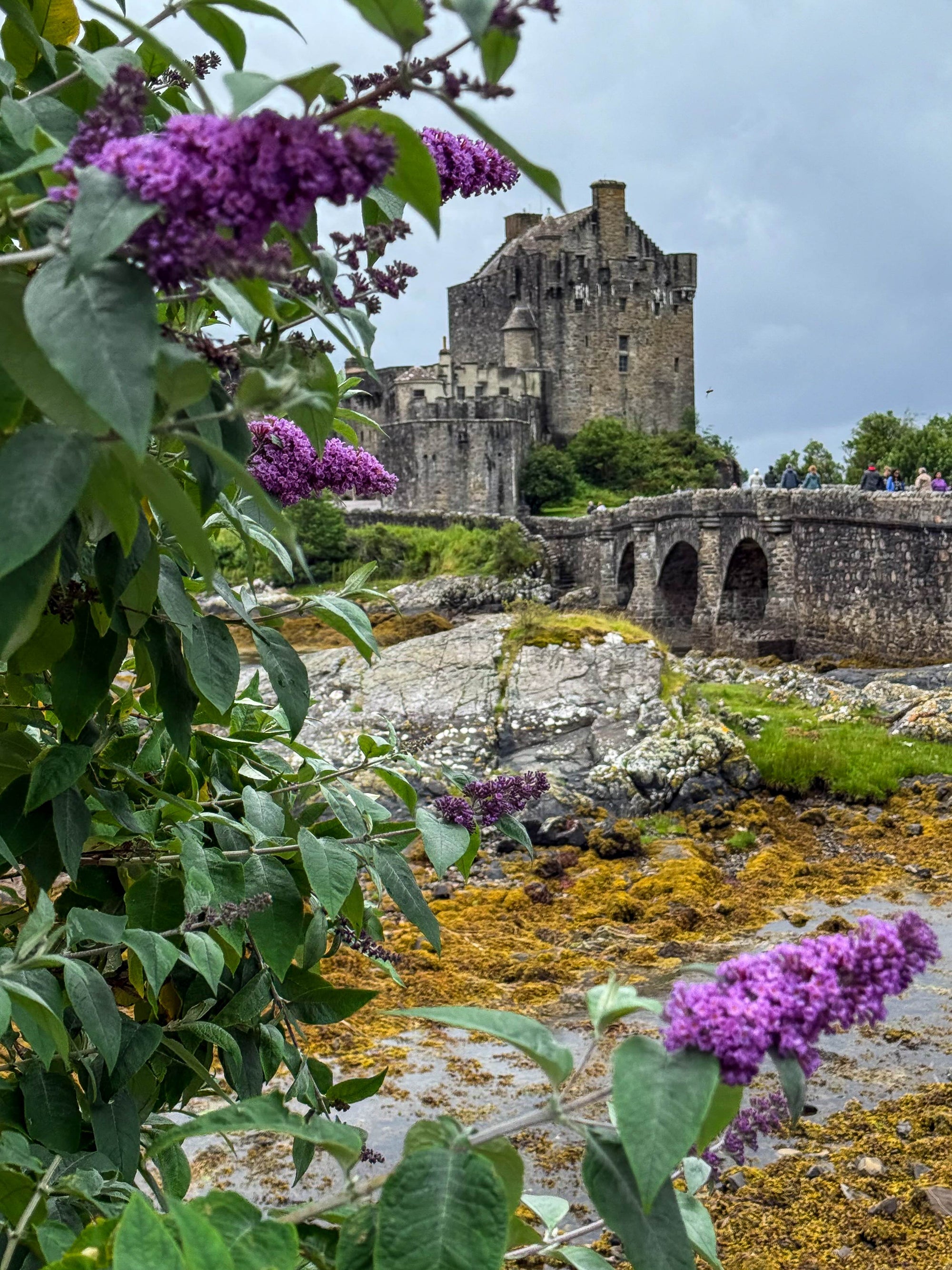 Castle Framed in Flowers