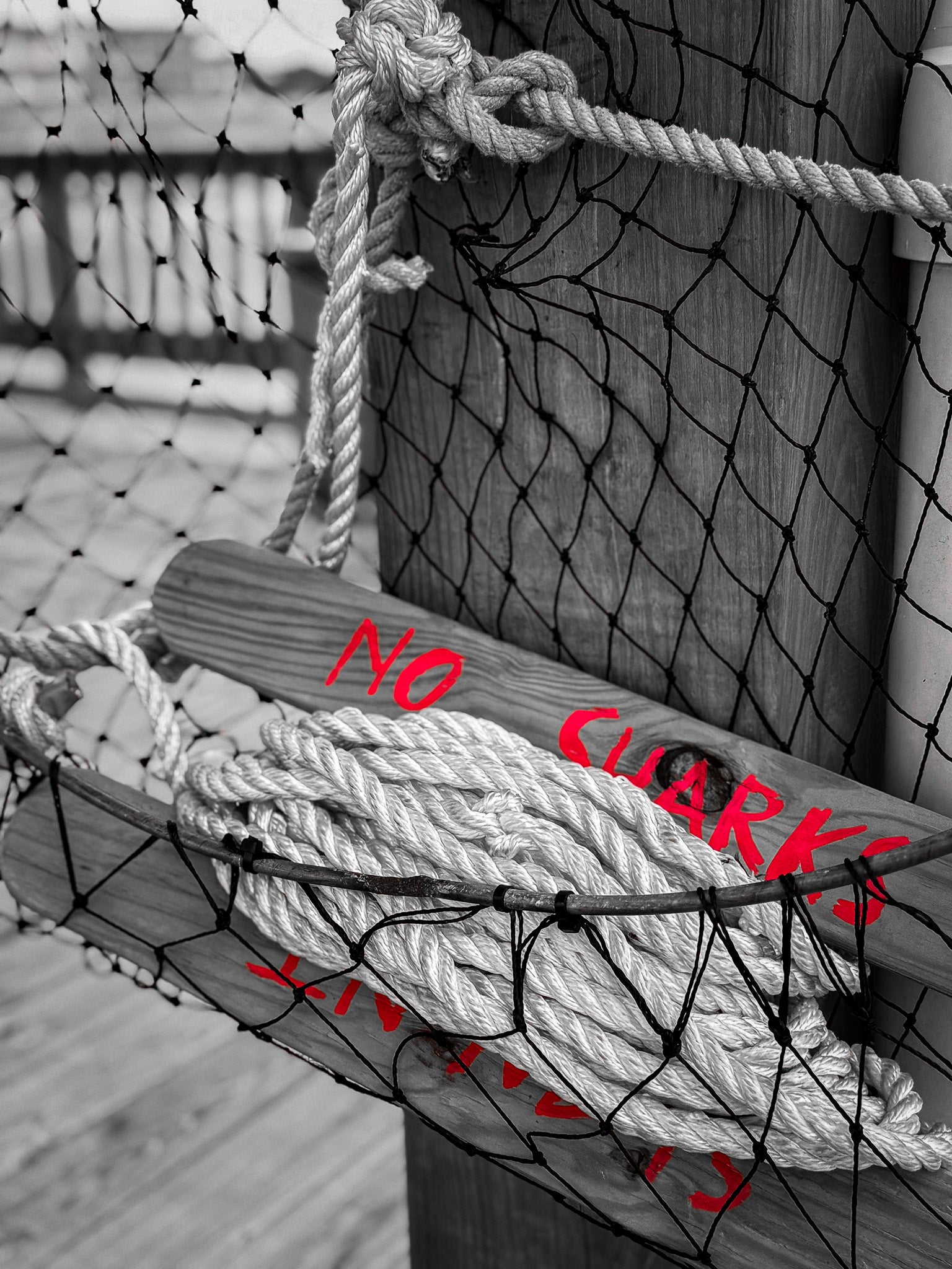 No Sharks