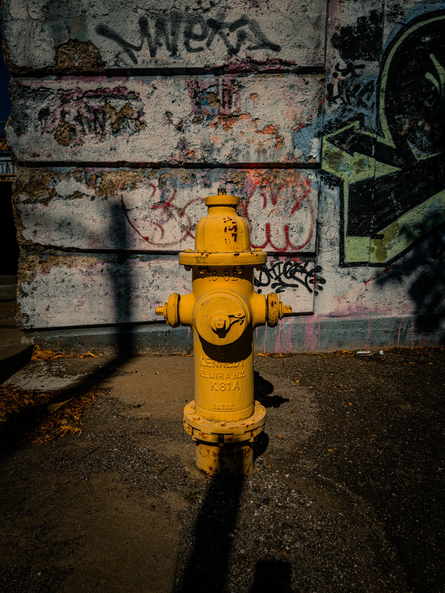 Highlighted Fire Hydrant