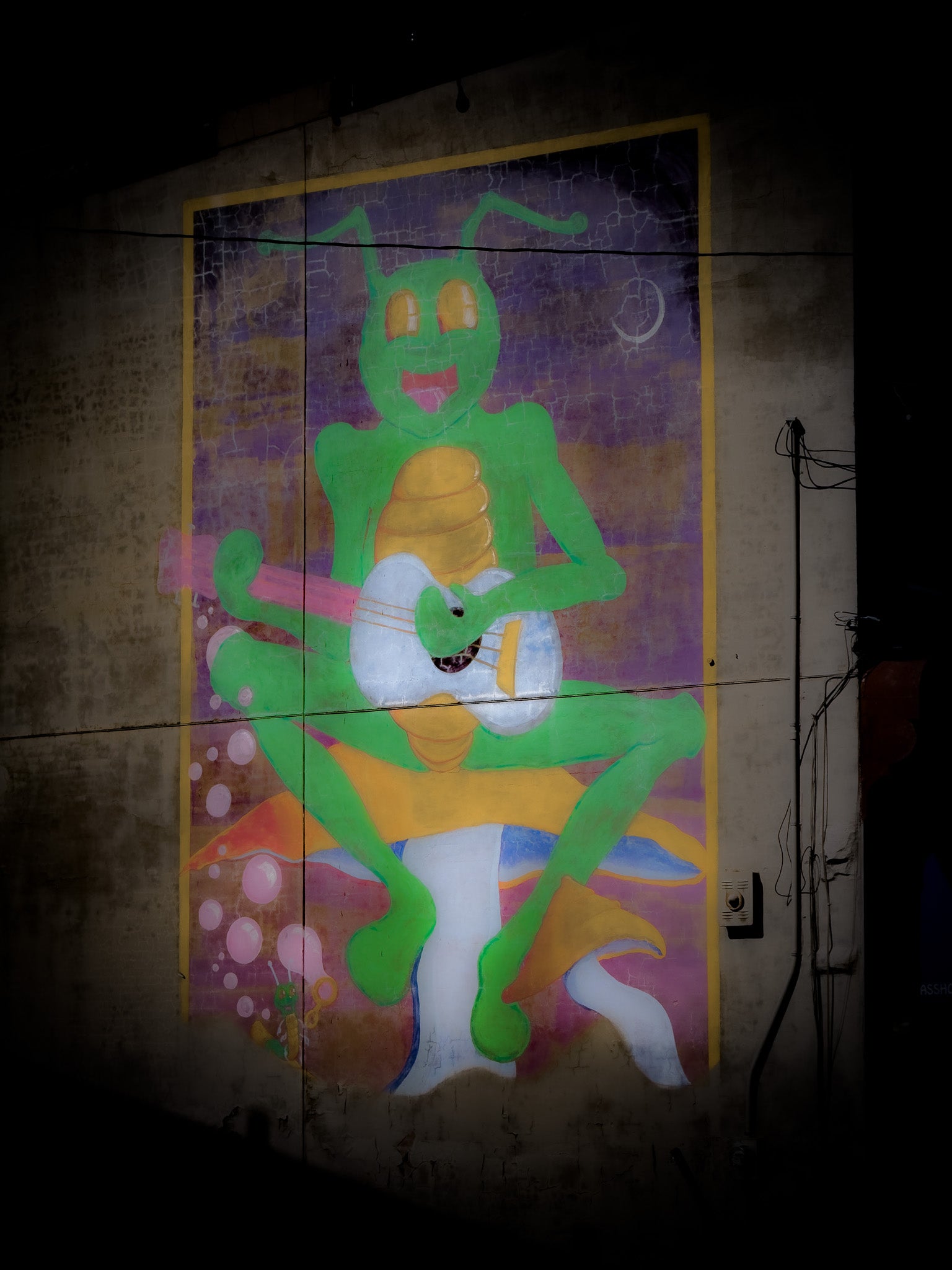 Neon Cricket