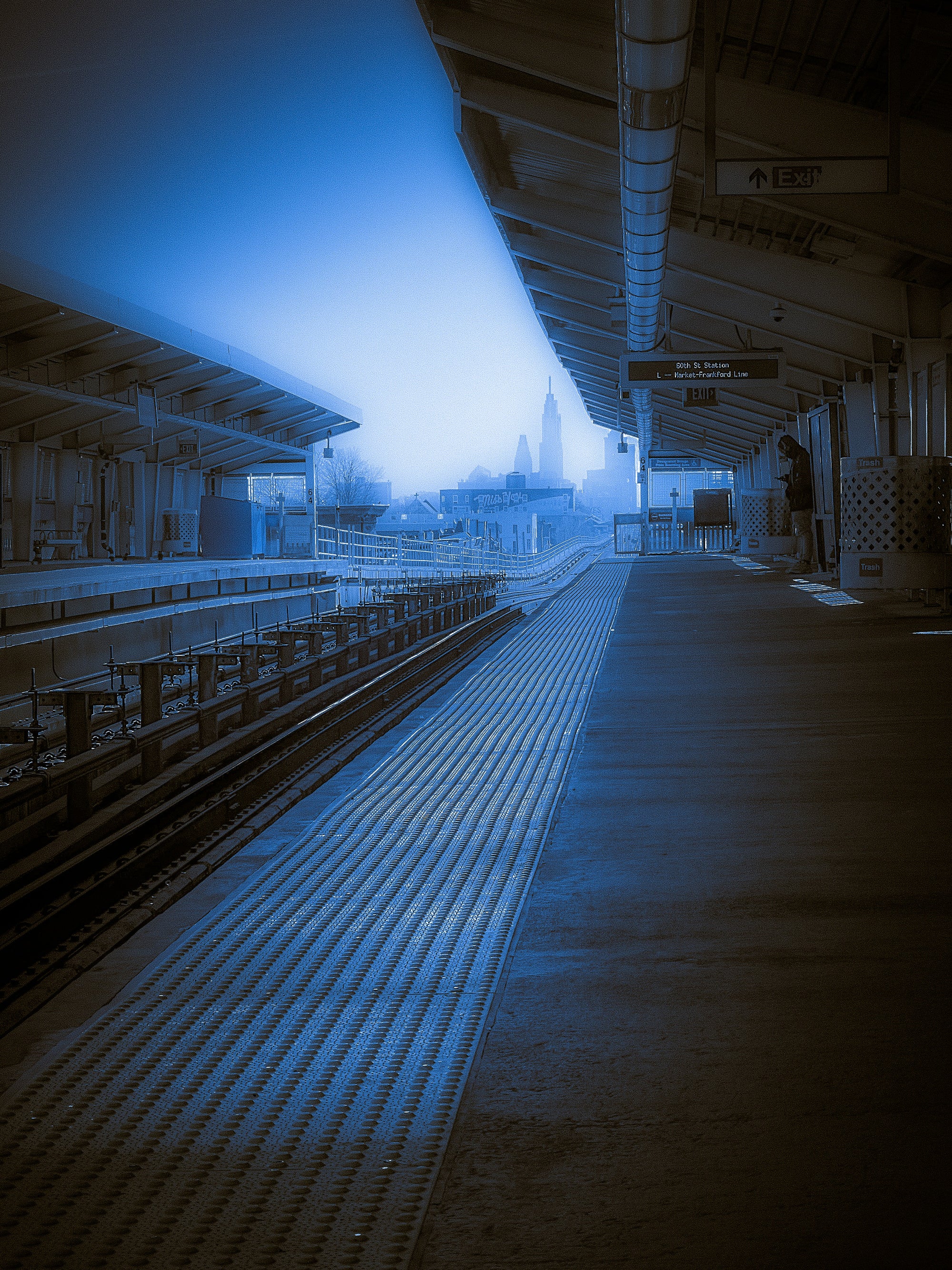 Platform Views