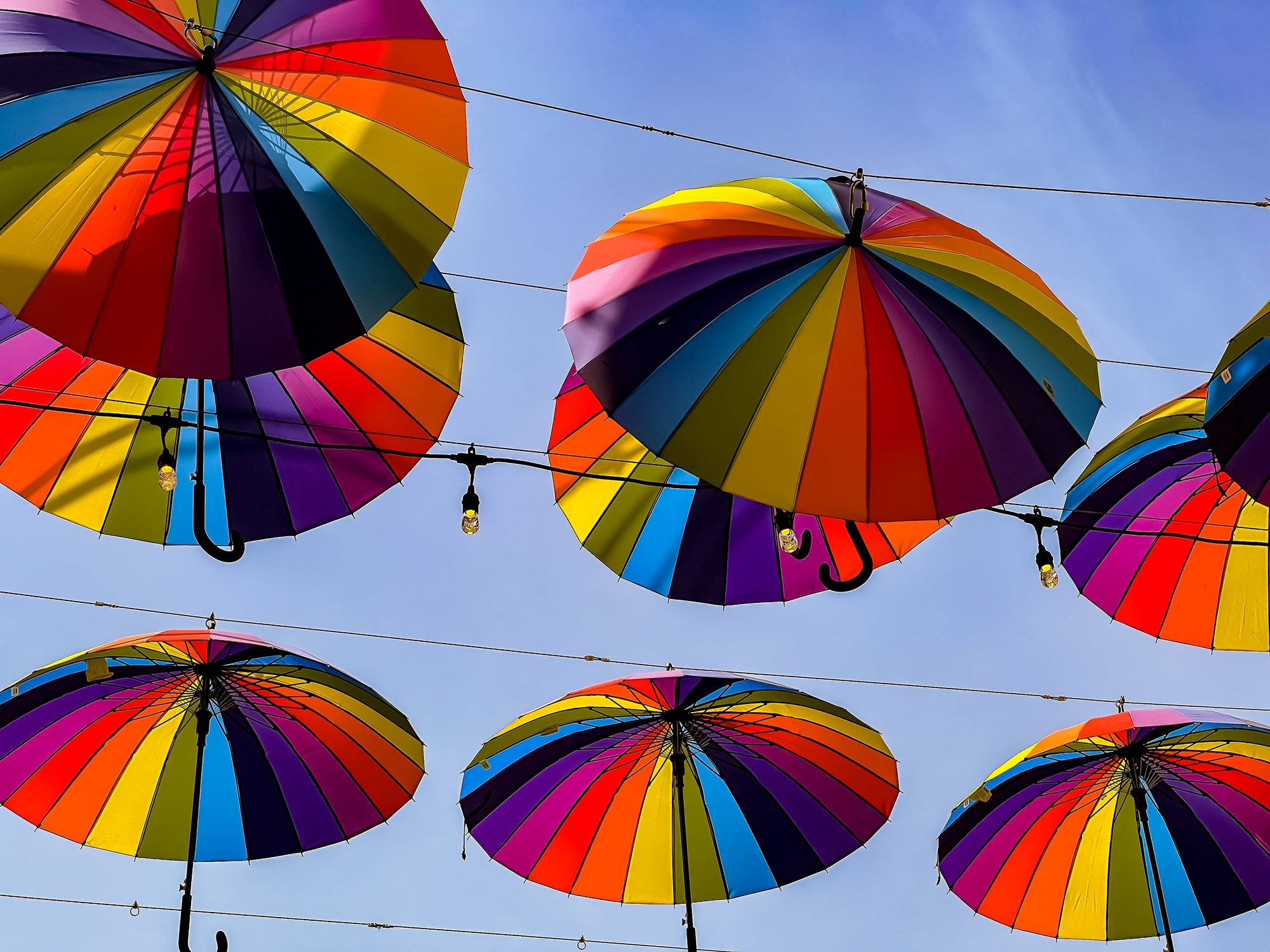 Under the Rainbow