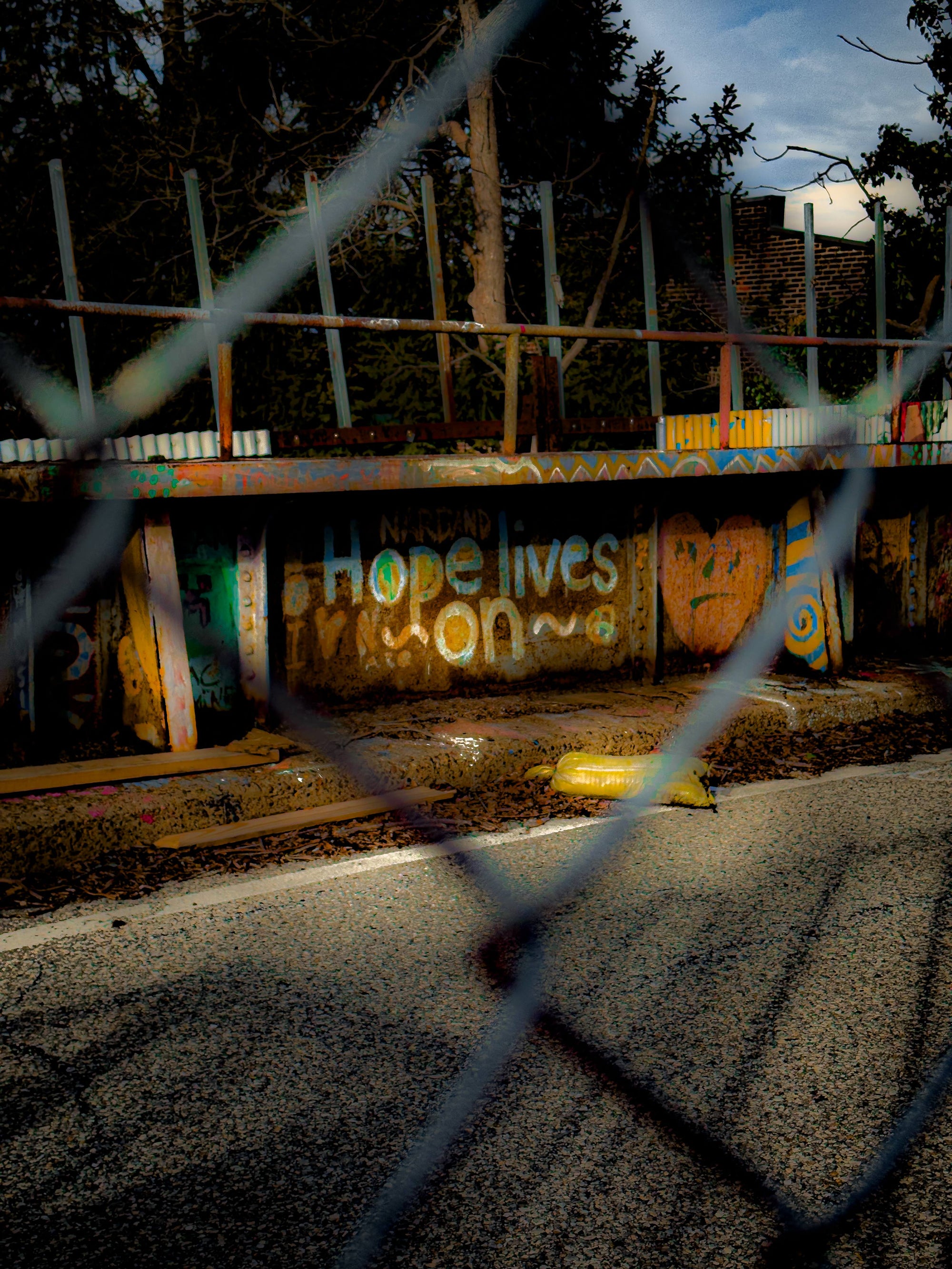 Hope Lives On