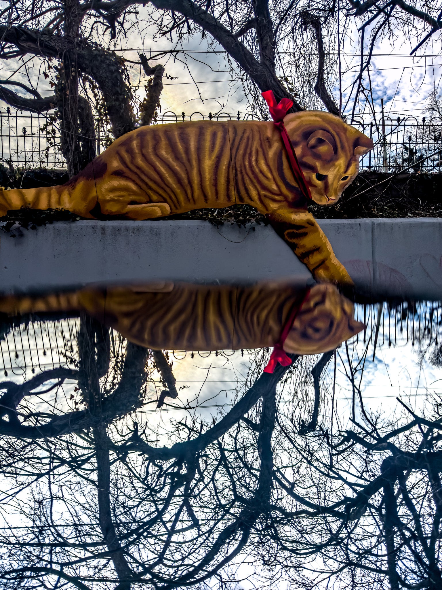 Reflective Feline