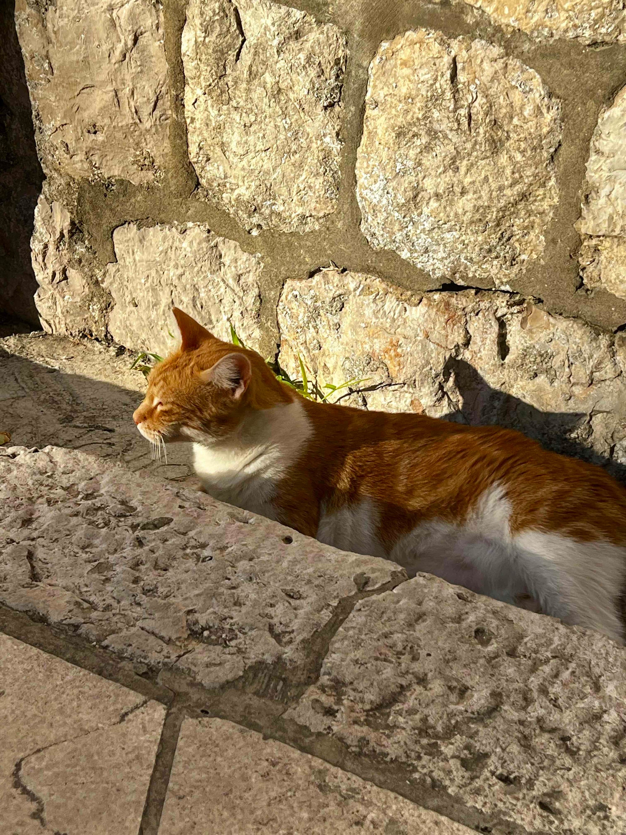Soaking up the Sun