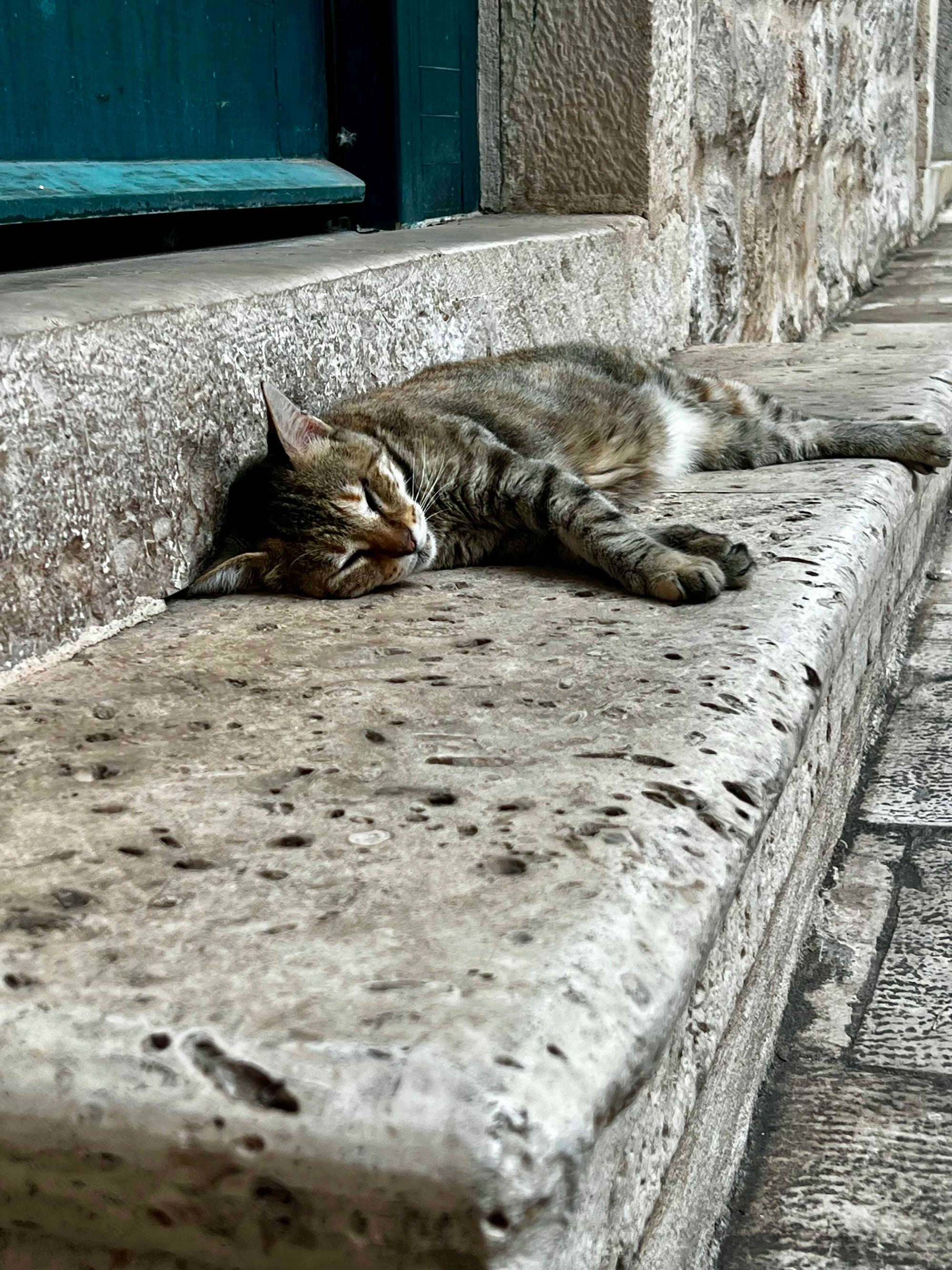 Lazy Afternoon