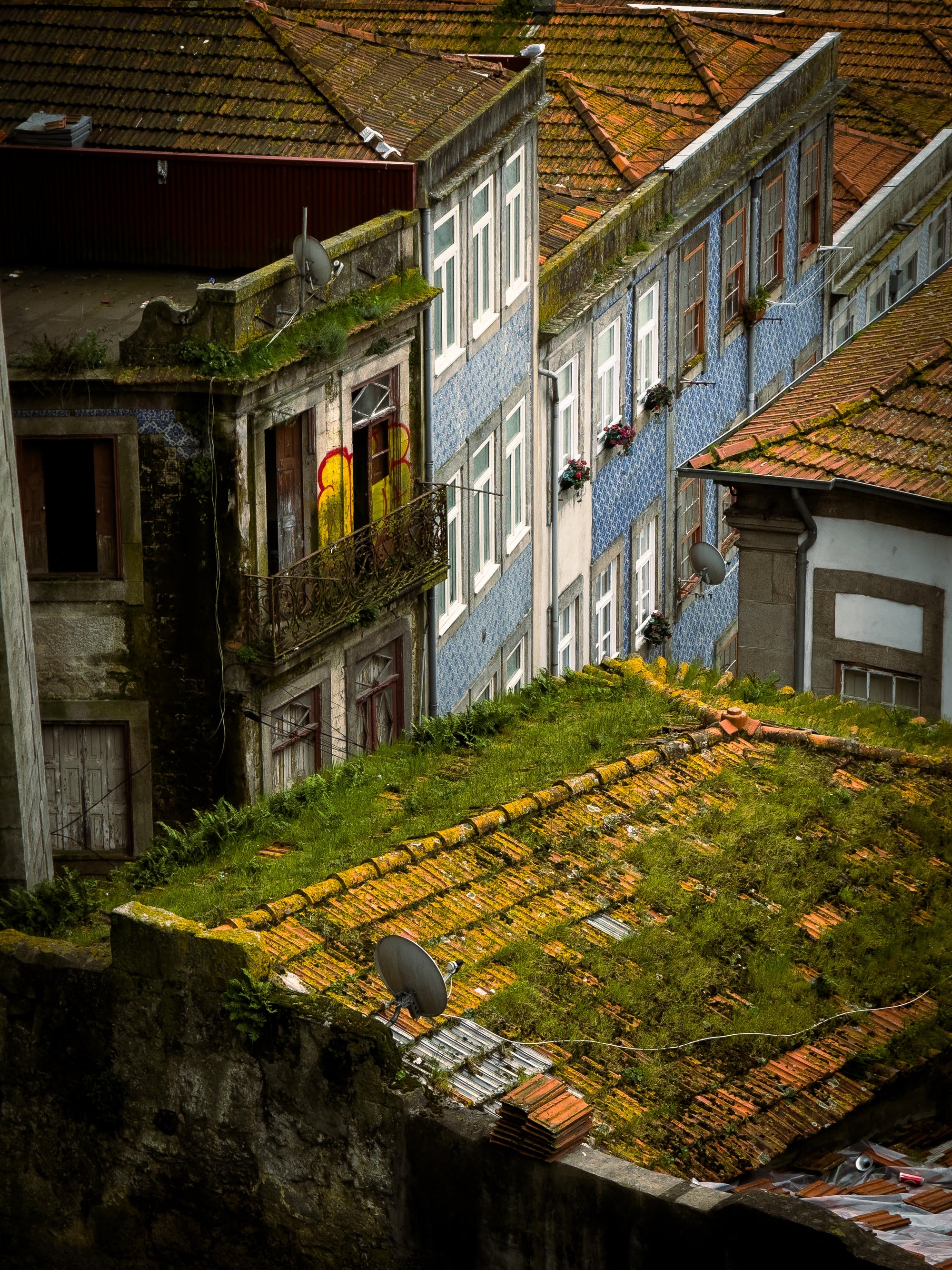 Mossy Roof