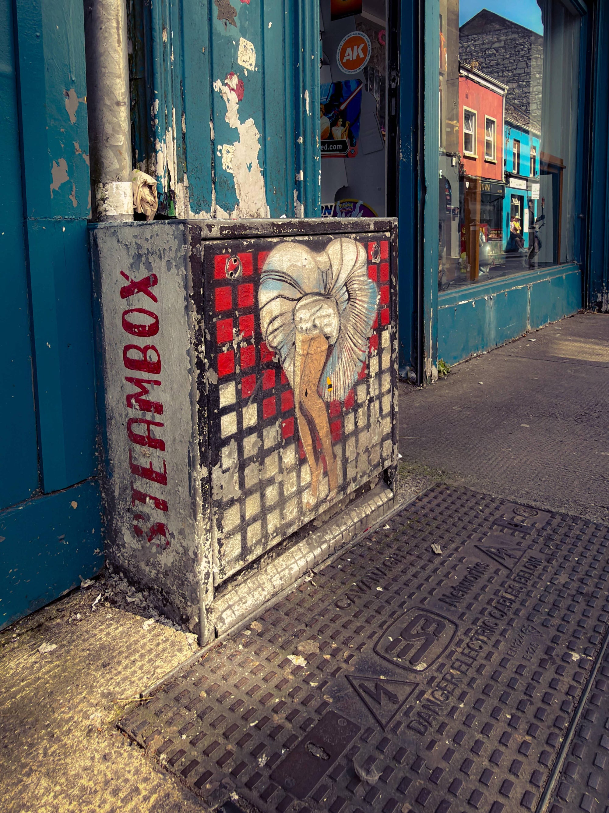 Painted Steambox