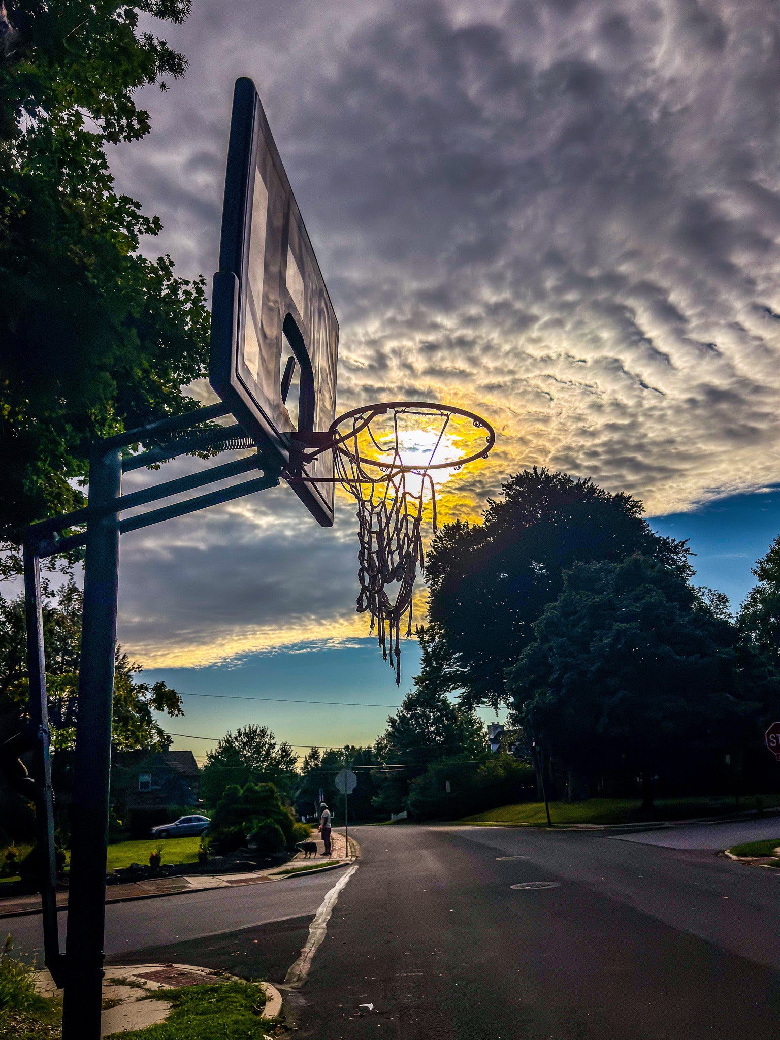 Almost Slam Dunk