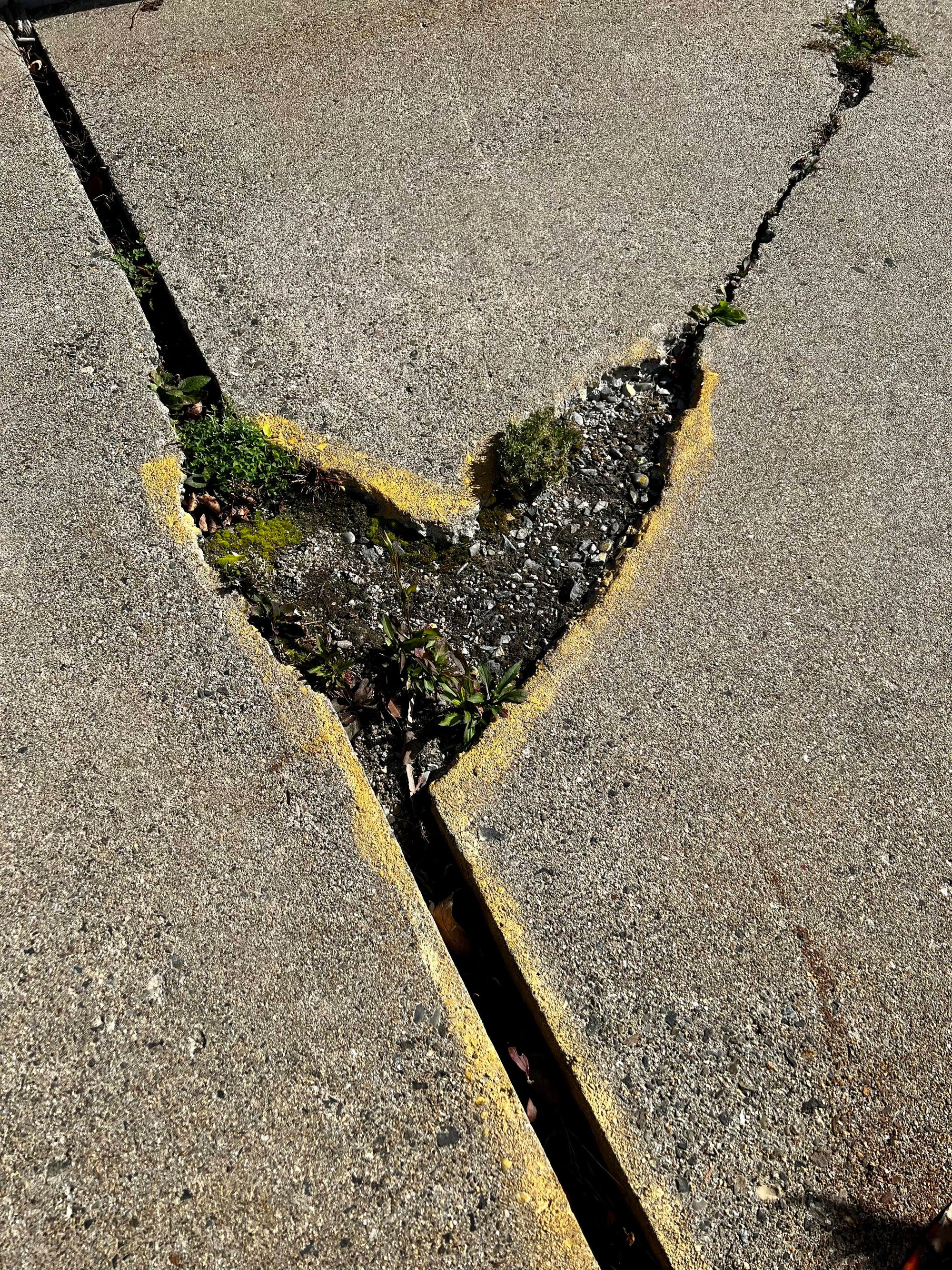 On the Road to Love