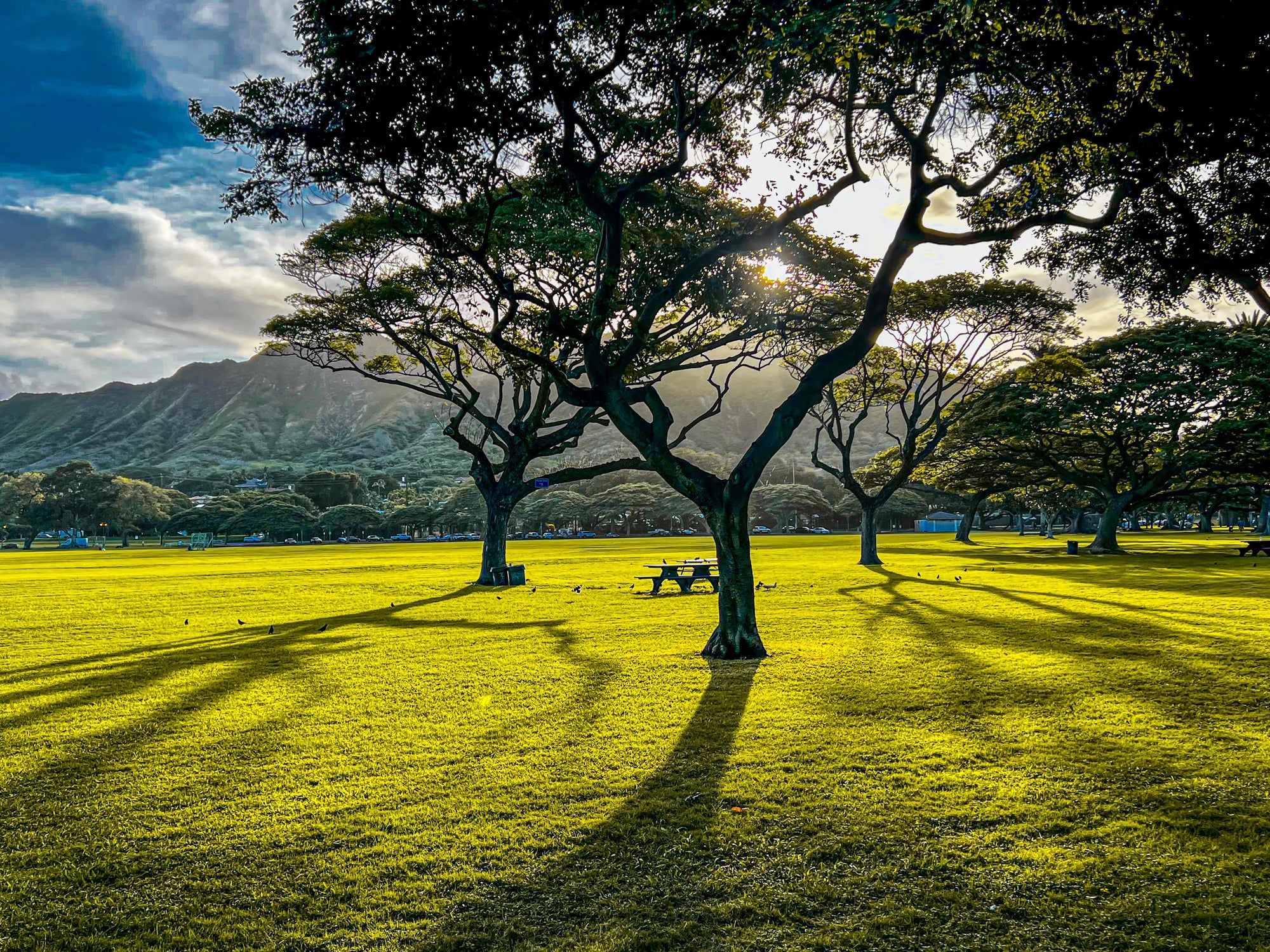 Good Morning Kapi'olani Park