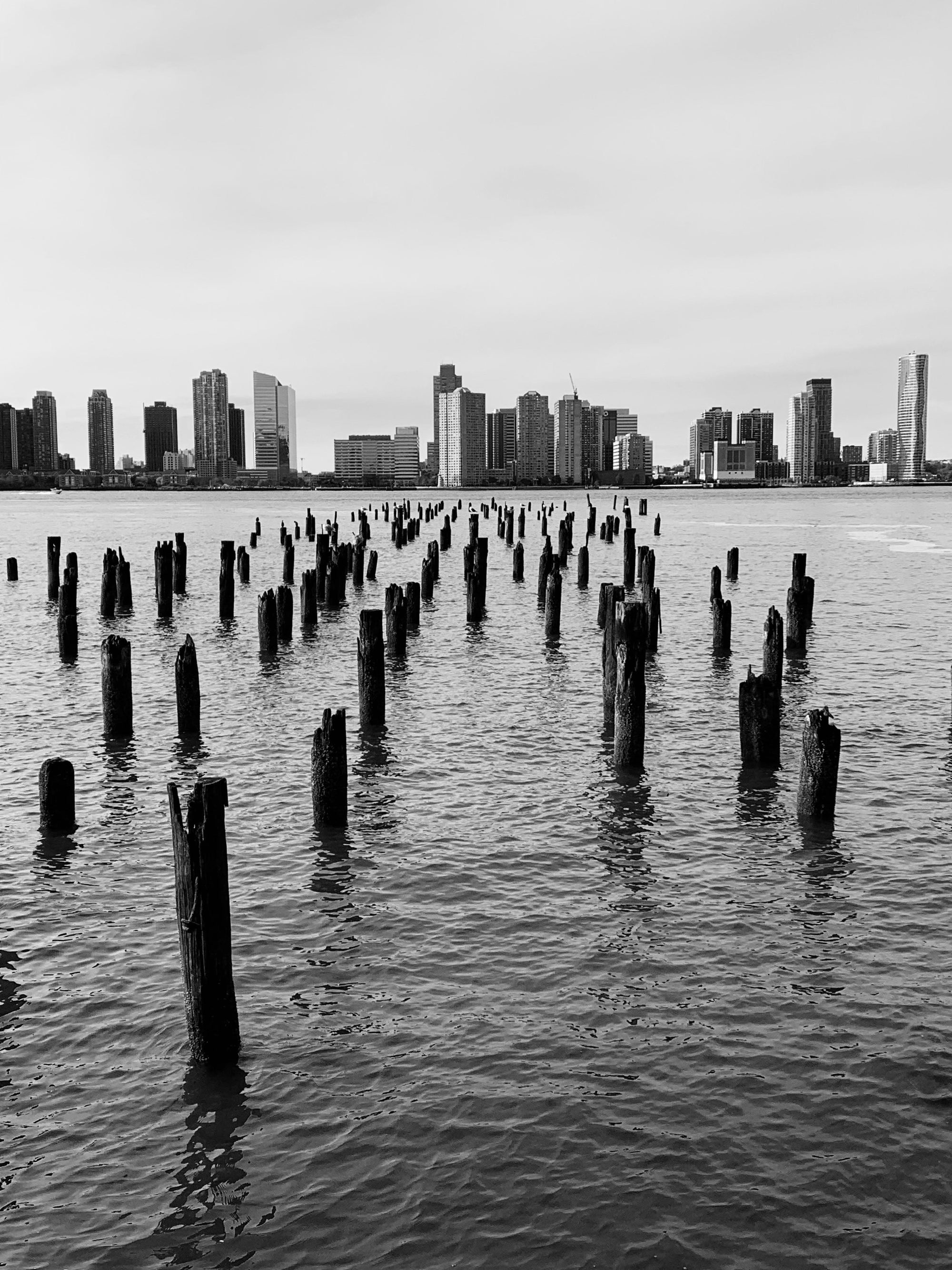 Tribeca View