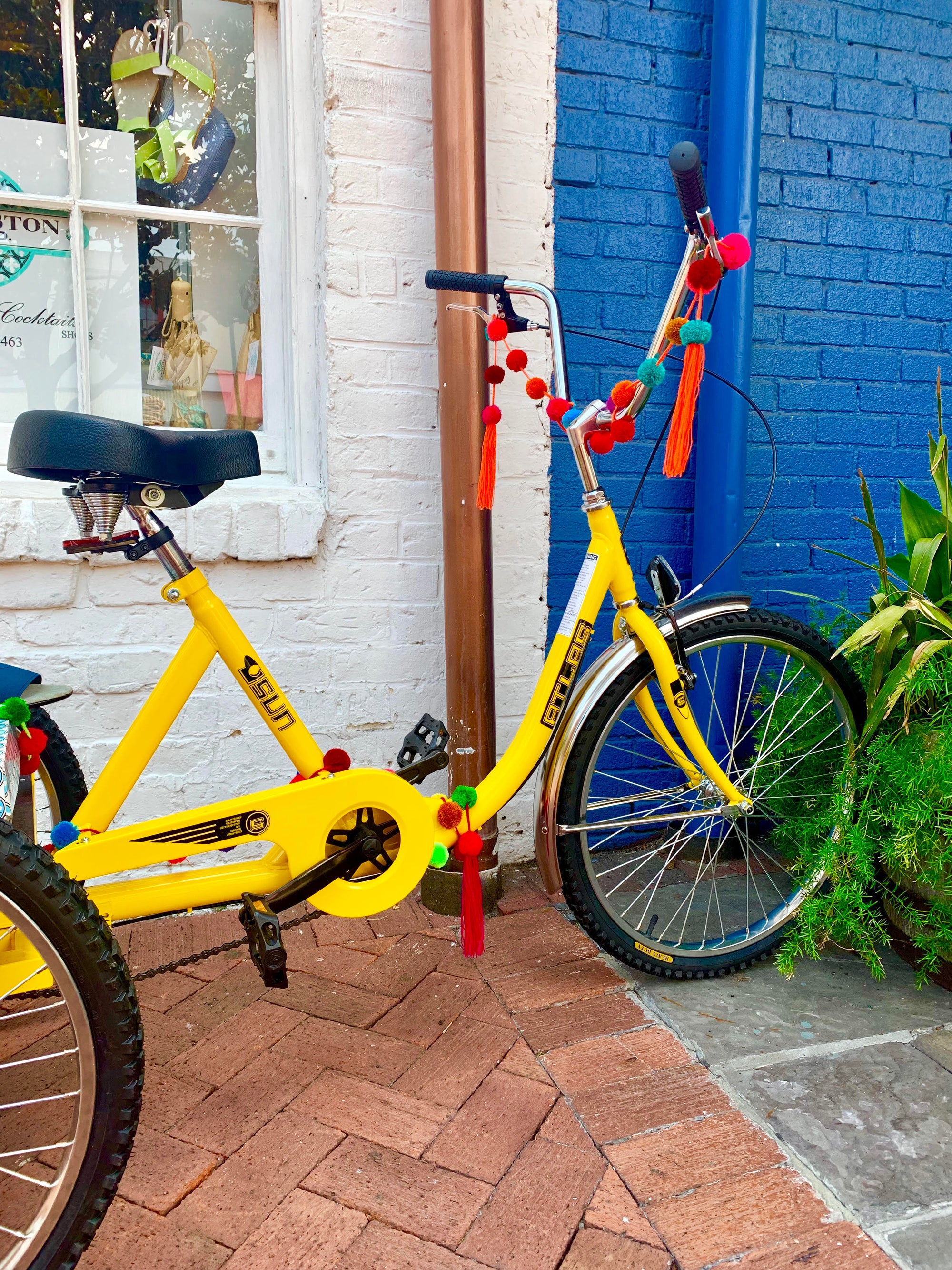 Pom Pom Bike