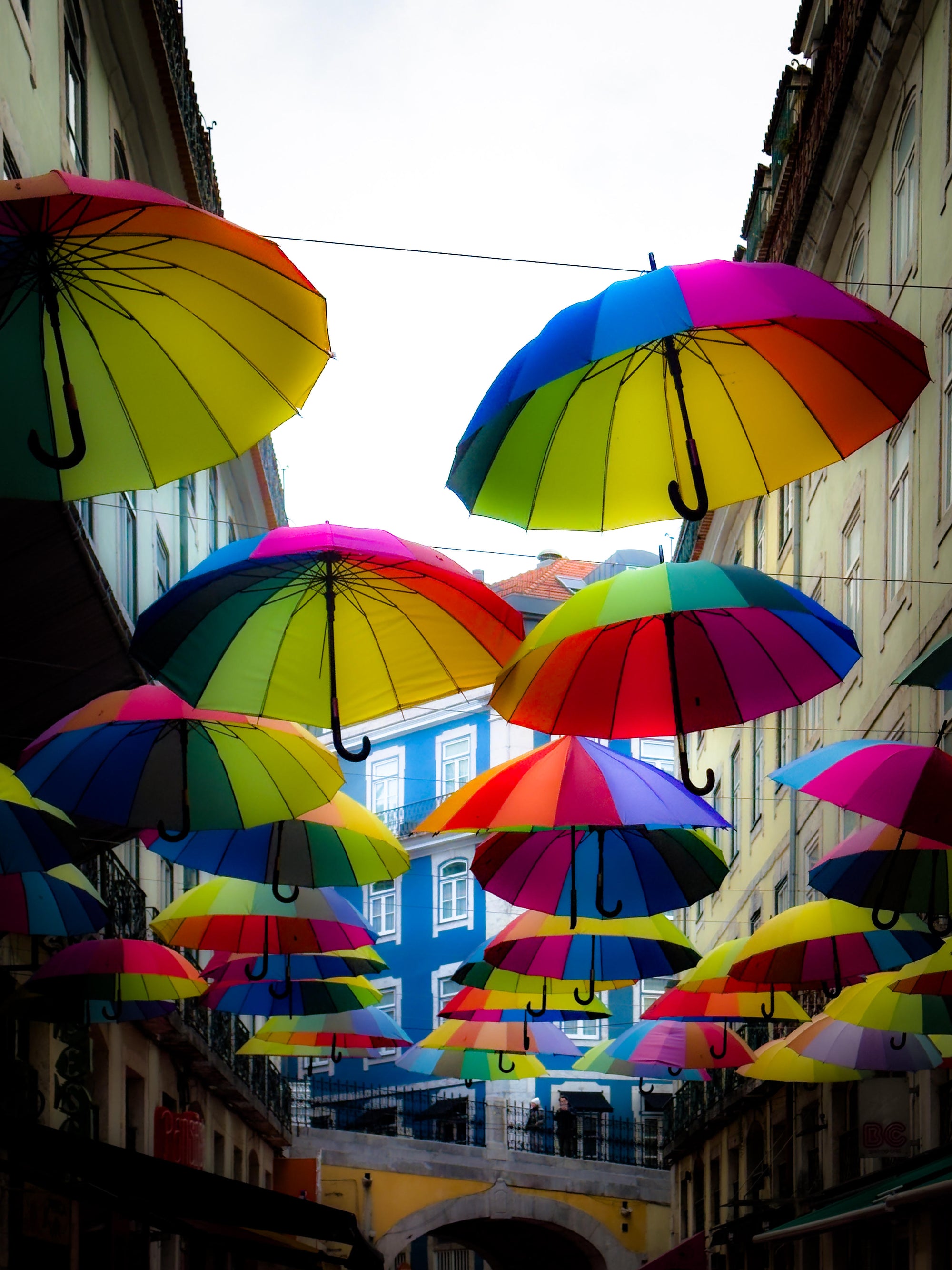 Umbrellas Overhead