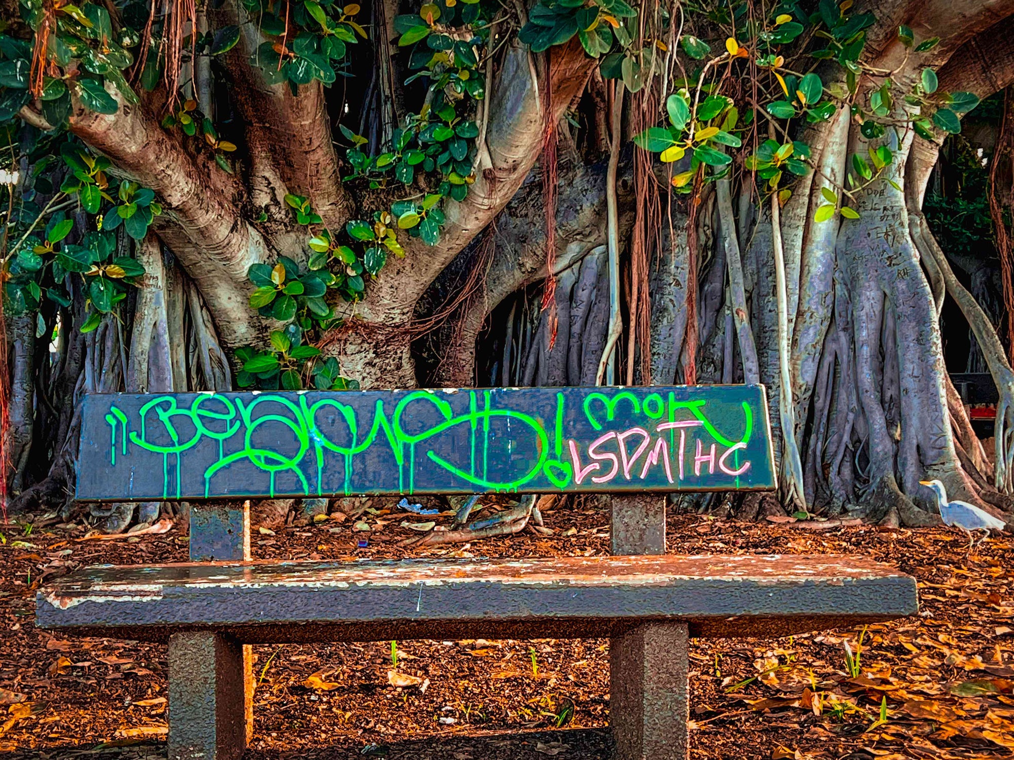 Tagged Bench