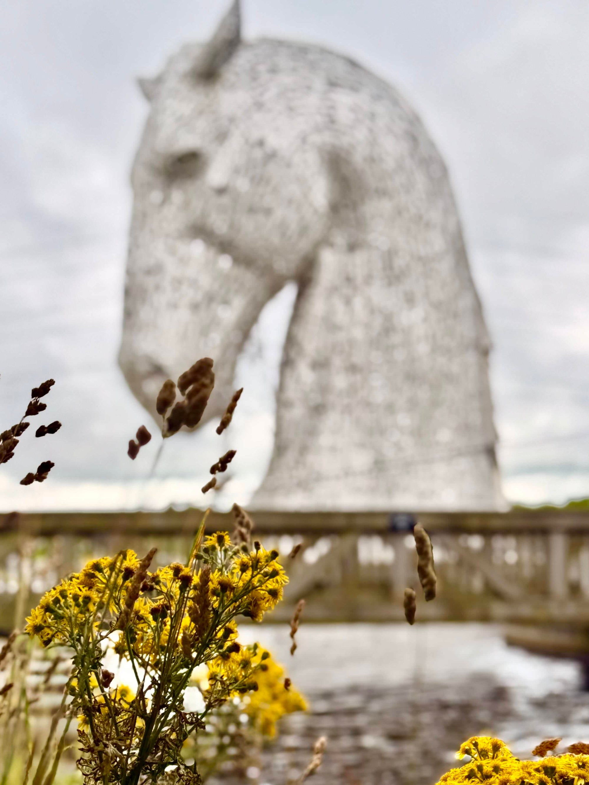 Kelpies Through the Canal